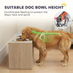 Elevated Dog Bowls with Storage Drawers